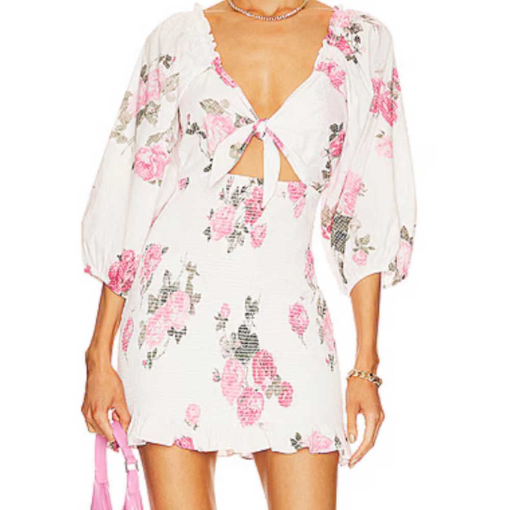 LoveShack Fancy Floral Pink and White Dress